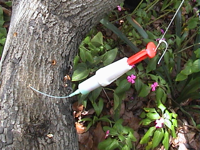 Step 4: Drip feed with string
